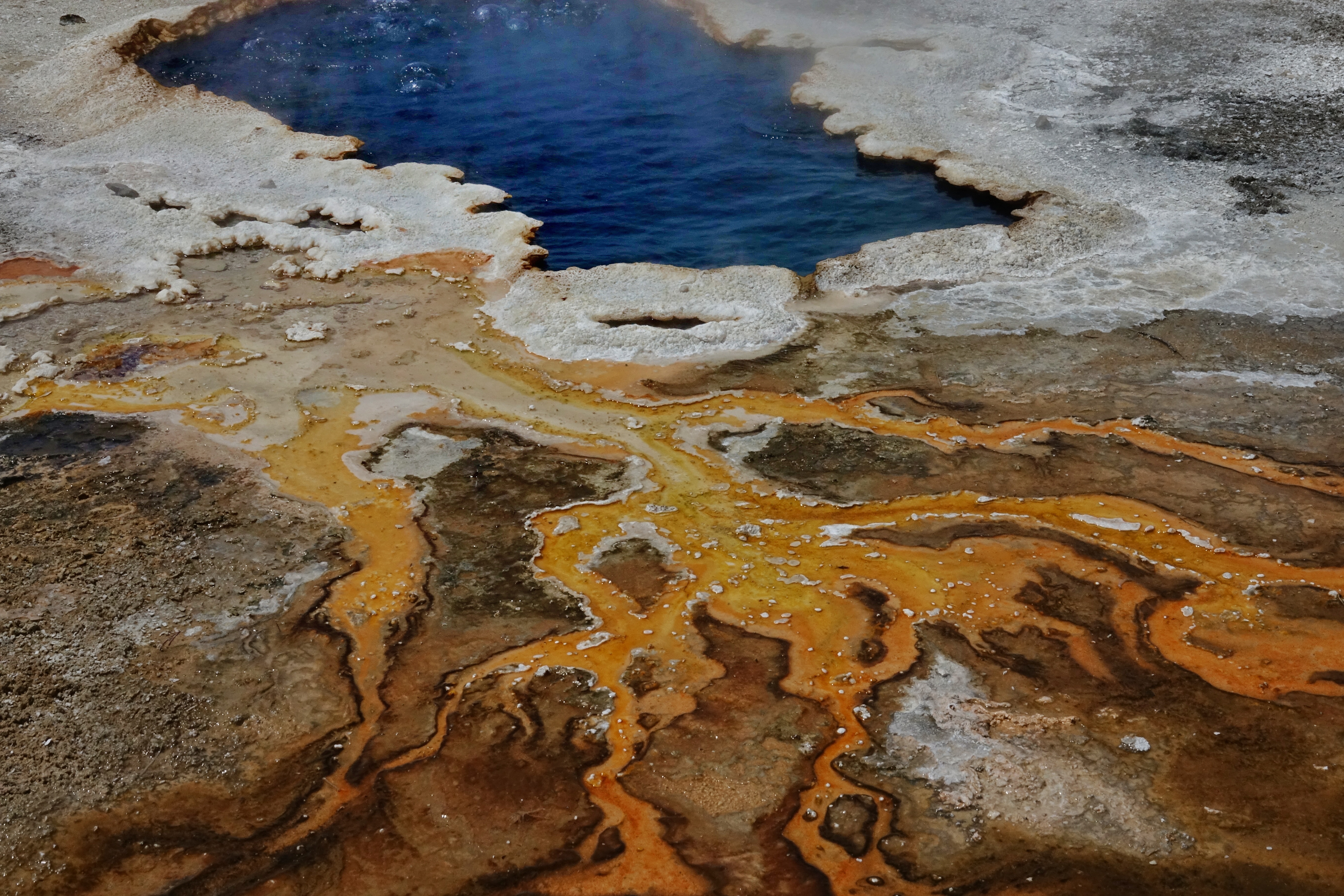 Bassin thermal à Yellowstone